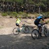 btt2019-0370