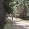 btt2019-0372
