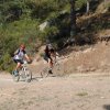 btt2019-0373