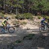 btt2019-0374