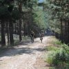 btt2019-0375