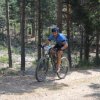 btt2019-0376