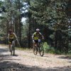 btt2019-0377