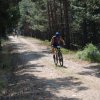 btt2019-0378