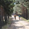 btt2019-0383