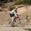 btt2019-0384