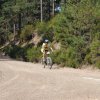 btt2019-0385