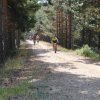 btt2019-0389