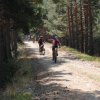 btt2019-0392
