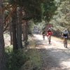 btt2019-0394