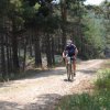 btt2019-0395