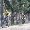 btt2019-0397