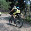 btt2019-0398