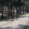 btt2019-0399
