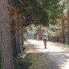 btt2019-0400