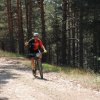 btt2019-0402