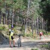 btt2019-0405