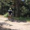 btt2019-0407