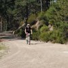 btt2019-0410