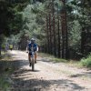 btt2019-0411