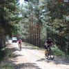btt2019-0416