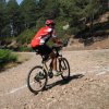 btt2019-0417