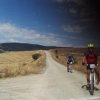 btt2019-0422