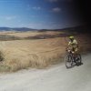 btt2019-0440