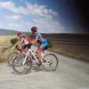 btt2019-0441