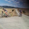 btt2019-0453