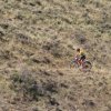 btt2019-0459