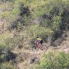 btt2019-0460