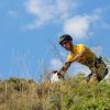 btt2019-0461