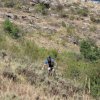 btt2019-0462