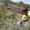 btt2019-0475
