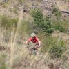 btt2019-0476