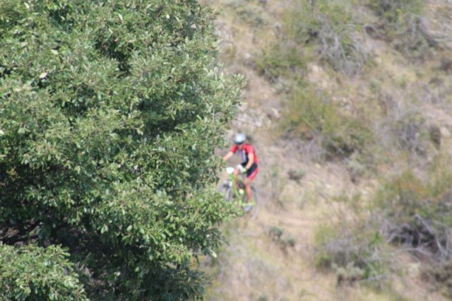 btt2019-0538