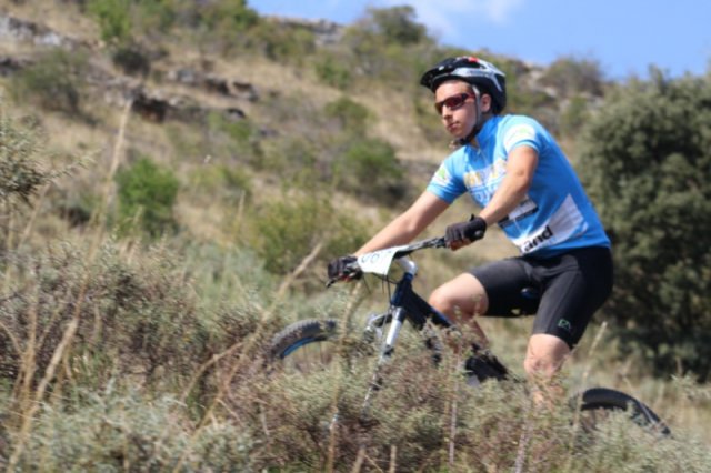 btt2019-0564