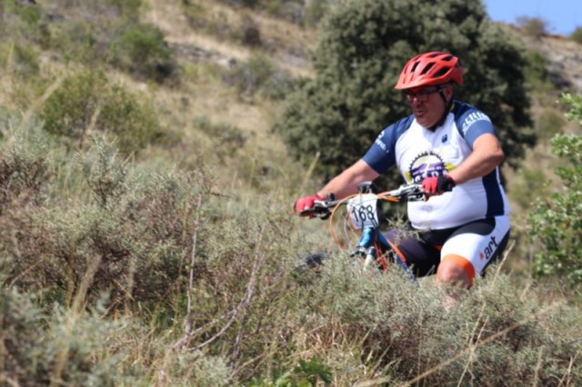btt2019-0576