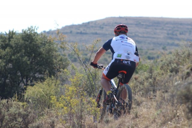 btt2019-0578