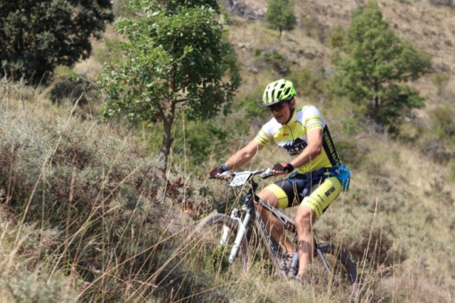 btt2019-0589