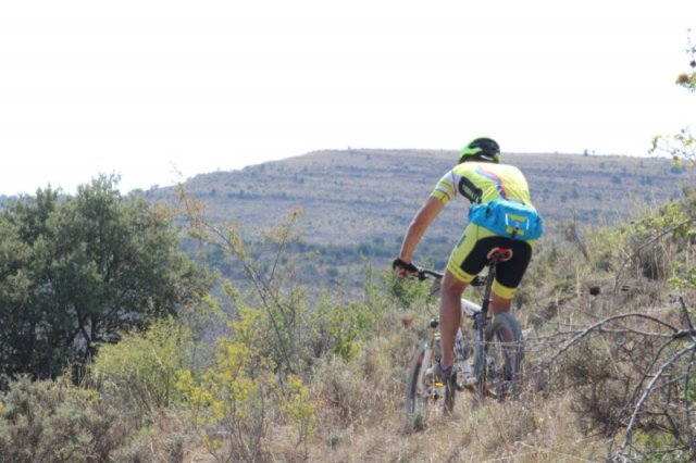 btt2019-0592