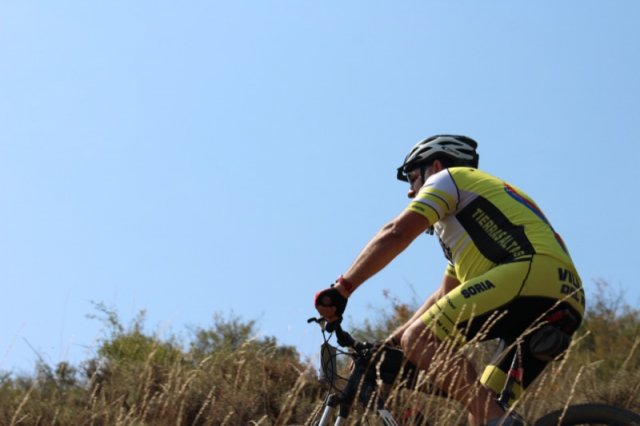 btt2019-0599