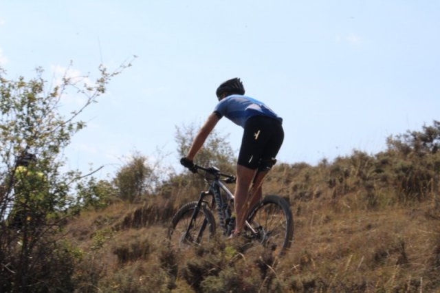 btt2019-0601