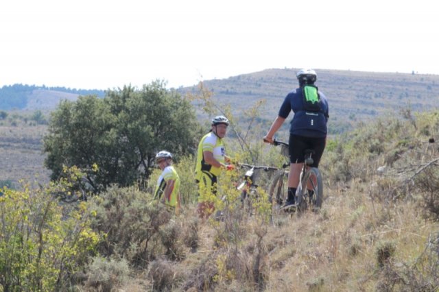 btt2019-0606