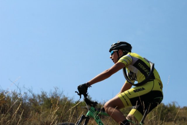 btt2019-0615
