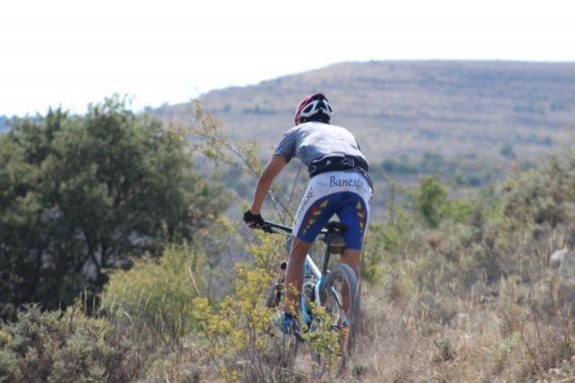 btt2019-0628