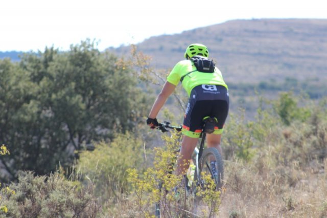 btt2019-0634