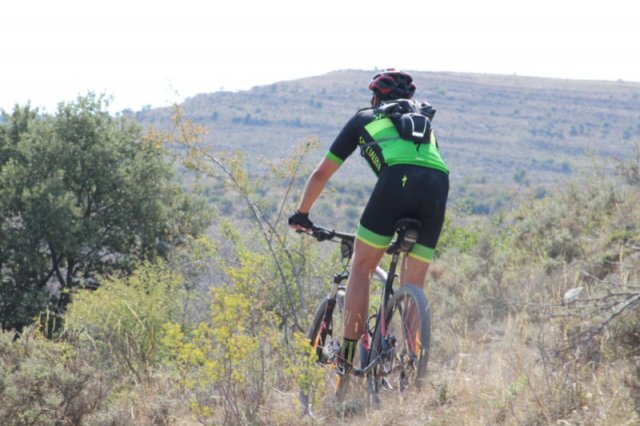 btt2019-0640