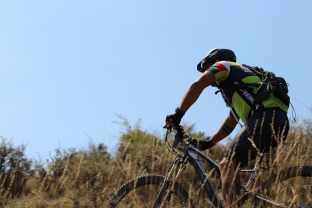 btt2019-0641
